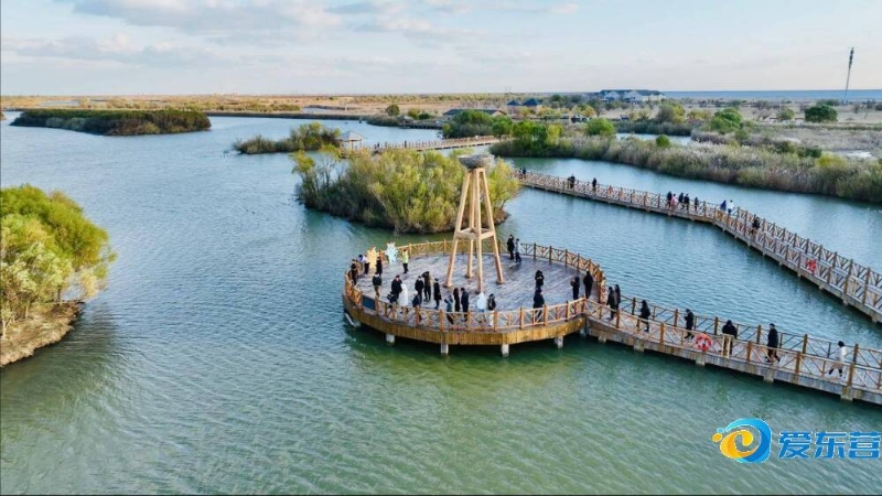 山东男篮胜 山东男篮胜